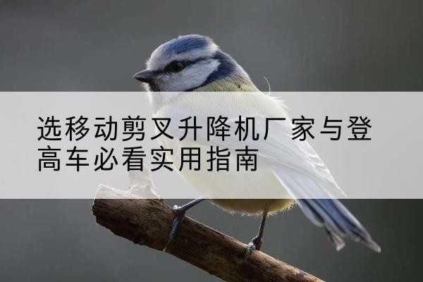 秦都电动升降机厂家-选移动剪叉升降机厂家与登高车必看实用指南