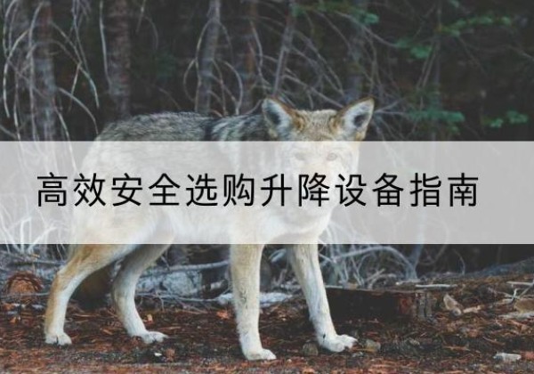 秦都升降货梯厂家推荐-*安全选购升降设备指南